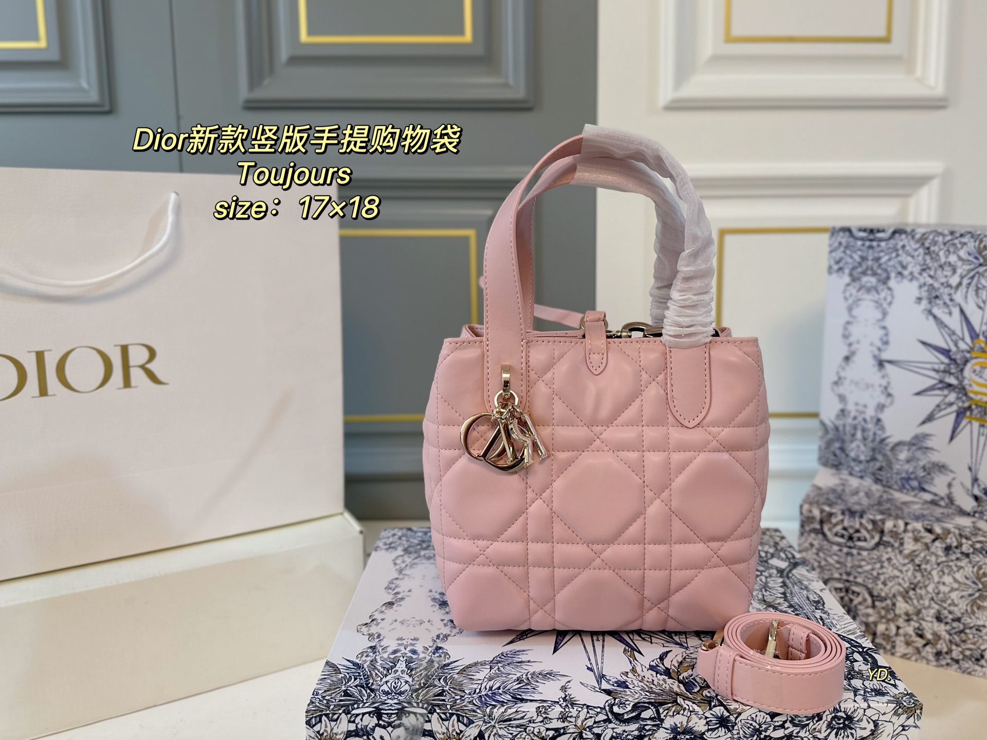 DIOR bag 144